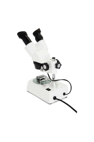 Celestron Labs S10-60 Stereo Mikroskop