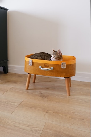 Huncar Kedi Evi Dekoratif Retro Valiz Kedi Evi