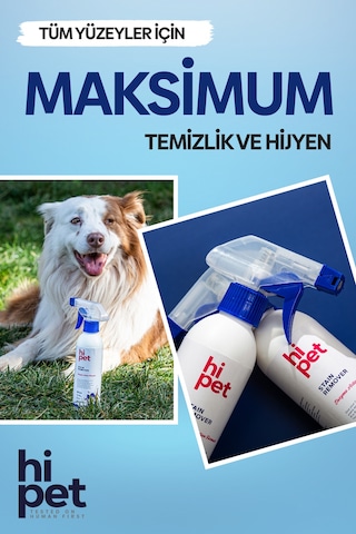 HiPet Köpek Leke Çıkarıcı Spray