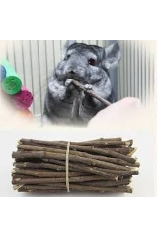 Kemirgenler Için Elma Ağacı Dalı