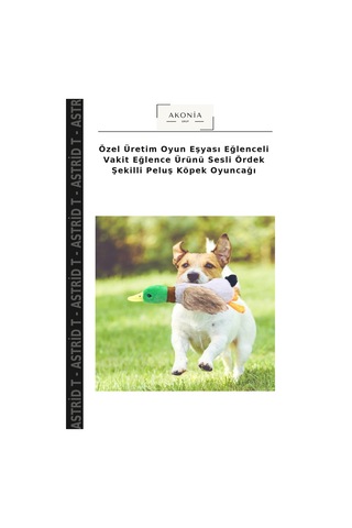 Özel Üretim Oyun Eşyası Eğlenceli Vakit Eğlence Ürünü Sesli Ördek Şekilli Peluş Köpek Oyuncağı