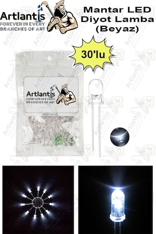 Beyaz Mantar Led Diyot Lamba 30 Lu 1 Paket Beyaz 4.8 Mm Mini Mantar Led Lamba Deney Bilim Proje Arduino Işığı