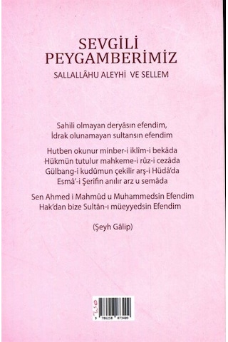Sevgili Peygamberimiz Sallallâhu Aleyhi Ve Sellem / Ömer Reh...