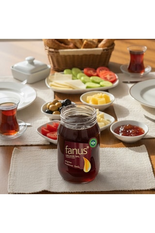 Fanus Organik Süzme Kestane Balı 460 G