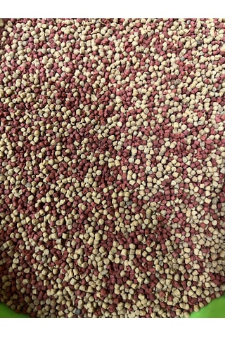 Yunus Balığı Yemi, Yunus Ciklet Kafa Yemi, Yüksek Protein 50 Gram