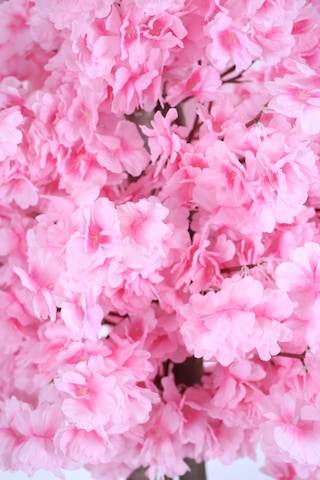 Alçı Saksıda Yapay Bahar Dalı Ağacı 105 Cm Pembe Ypcck