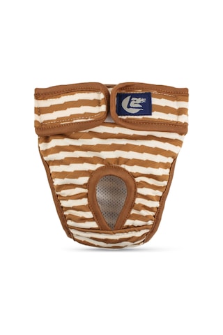 Pet Çizgili Fizyolojik Pantolon Köpek Adet Pantolonu, Boyut: S Kahverengi