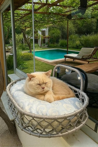 Reyo Tasaryum Kedi Ve Köpek El Örgüsü Vantuzlu Cam Yatağı Hamak Gri