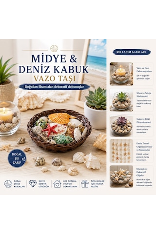 Yuvarlak Ahşap Sepet 54'lü Renkli Midye & Deniz Kabukları - Vazo Taşı Seti Çok Renkli