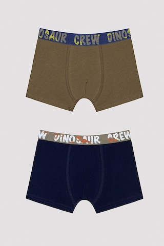 Penti Erkek Çocuk Dinosur Crew Slogan Baskılı Boxer Çok Renkli
