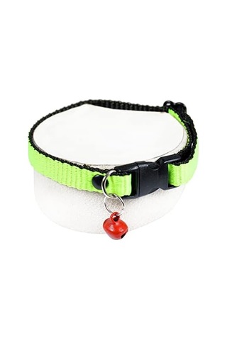 Neon Zilli Kedi Tasması Fıstık Yeşili Boyun Tasma Ayarlı