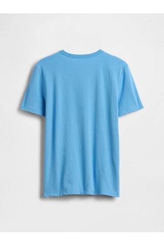 Gap V-frch Ss Value Tee Mavi