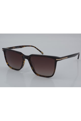 Blancia Bc 1207 C2 55 - 01 Güneş Gözlüğü Leopar
