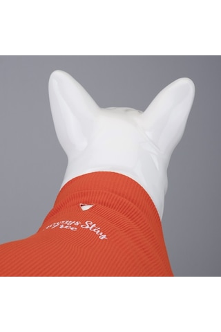 Flex Always Stay Free Küçük Ve Orta Irk Köpek Tshirt