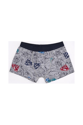 Superman Lisanslı Erkek Çocuk 2'li Boxer Seti Çok Renkli