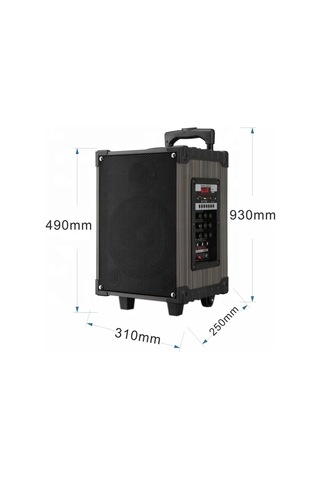 Ds-910 3 Kanal Taşınabilir Şarjlı Hoparlör