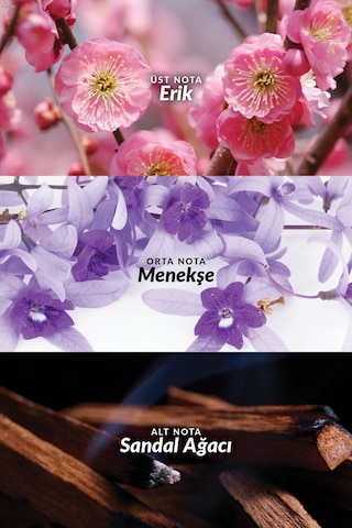 Rare Amethyst Kadın Parfüm Edp 50 Ml. Meyveli