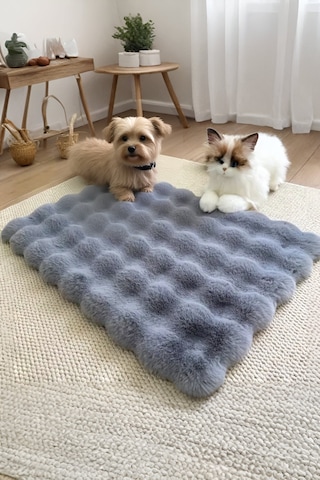 My Evilla Peluş Yumuşak Yıkanabilir Bubble Kedi Köpek Yatağı Minder