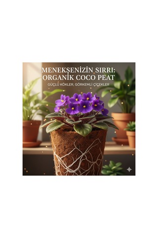 Menekşe Toprağı 5 Litre - Böcek Sinek Yapmayan Premium Kalite 1000