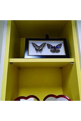 Xurunkeji 40 Adet Raf Braketi Vidaları, Kaymaz Kılıflı Manşon, Mobilya Ve Kitaplık Rafı İçin Delinmeyen Tahta Tutucu 9x6x4cm