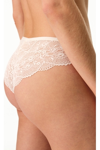 Penti Essentials V Shape Brazilian Krema Pembesi