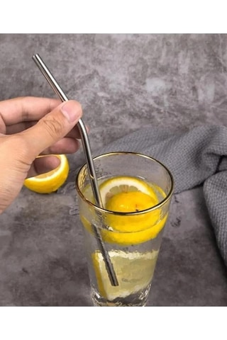Mithra Life 2 Li Metal Paslanmaz Çelik Pipet Ve Temizleme Fırçası Mıt1116