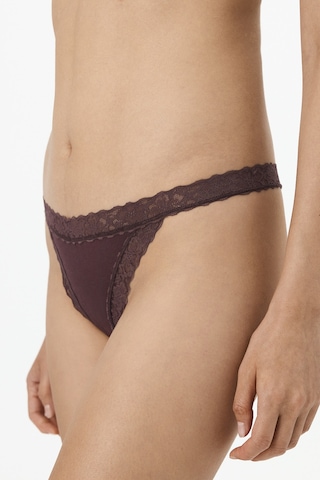 Penti Kahverengi Comfy Pamuklu Tanga Külot Bn83