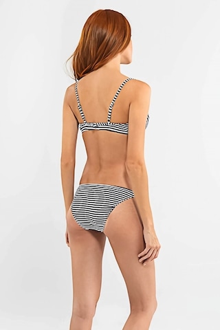Blackspade Çıkartılabilir Destekli Bikini Takımı Çok Renkli