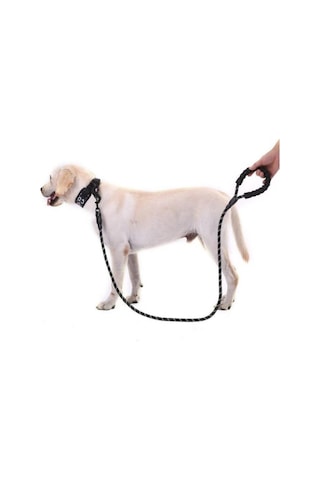 Köpekler İçin Gezdirme Tasması Reflektörlü 130 cm Halat Orta ve Büyük Boy Köpekler İçin Siyah