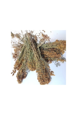 Hacıosman Çiftliği Sarı Kantaron Çiçeği Yabani 80 G