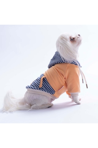 Somon Sera Stripe Köpek Hoodie Köpek Sweat Köpek Kıyafeti Kedi Kıyafeti