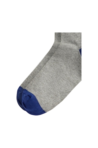 Polo Ralph Lauren Tekli Erkek Çorap 455982931001 Gri