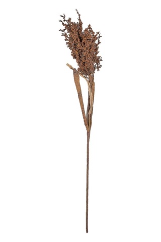 Pampus Çim Koyu Dekor 86 Cm Doğal Çok Renkli