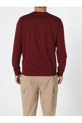 Colin's Regular Fit Kabartmalı Yazı Turuncu Erkek Sweatshirt cl1055790_Q1.V2_COR Kahverengi