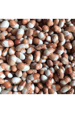 Geleneksel Ata Tohumları Keklik Sırık Fasulye Tohumu 10 Tohum