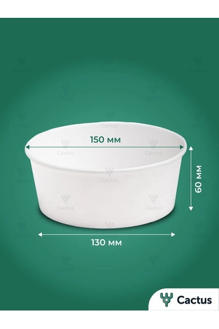 Cactus Kapaklı Derin Kağıt Tek Kullanımlık Tabaklar 10 Adet 317372833 100 adet