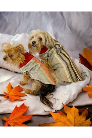 Kemique Stripe Orange Su İtici Köpek Yağmurluğu
