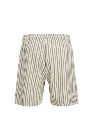 Jack & Jones Jack&jones Jaiden Leo Mid Erkek Beyaz Şort Beyaz