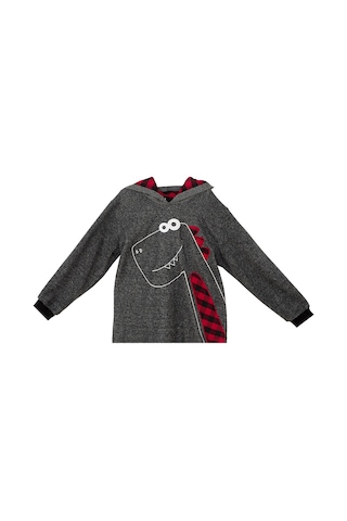 Denokids Dino Erkek Çocuk Kapüşonlu Sweatshirt Gri