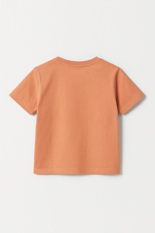 Erkek Çocuk %100 Pamuklu Baskılı Kısa Kollu Tişört - Somon 3-4 Yaş 8-9 Yaş Somon