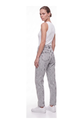 CEMO Kadın Yüksek Bel Straight Fit Ön Dikiş Detaylı Jean Pantolon Gri
