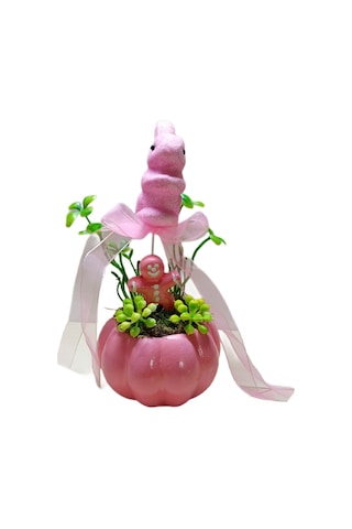 Neolife Yeni Doğan Kız Bebek Hediyesi Aramıza Hoş Geldin Hediyesi Sevimli Tavşancık Detaylı Kabak Teraryum