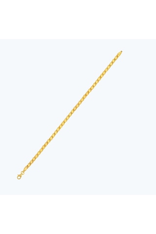 Altınbaş 22 Ayar Altın Zincir Bileklik Bzcbl0003-25641-1 Çok Renkli