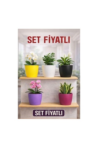 Hüskon Ticaret 5'li Orkide Dekoratif Saksı Seti Kırılmaz Plastik 1.25 L 12.5 Cm Çap 15 Cm Yükseklik Renkli