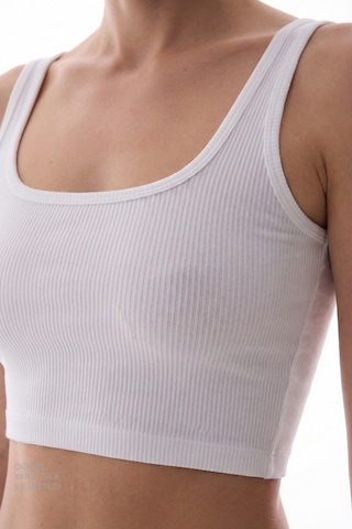 Penti Beyaz Seamless Dikişsiz Kare Yaka Crop Üst