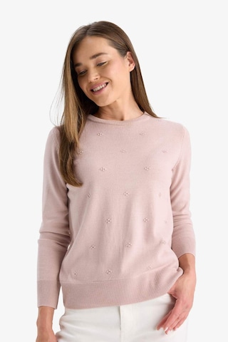 Defacto Regular Fit Bisiklet Yaka Triko Kazak F4084ax25wnpn681 Pembe