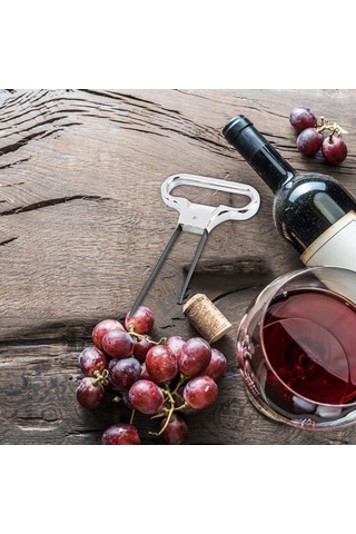 Yuntech01 Gümüş İki Uçlu Vintage Şarap Açıcı - Kırık Mantar Kaldırıcı, Taşınabilir Bar Ve Ev Gereci Gümüş