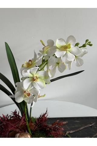Lüks Yapay Beyaz Phalaenopsis Orkide Aranjmanı Şık Kavisli Kütük Ve Kristal Kayaç Detaylı