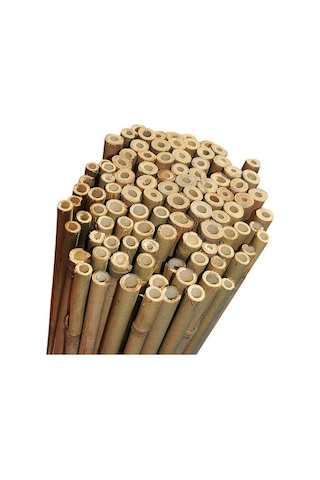 Bambu Çubuk Bitki Destek Çubuğu 10 Adet 20-22 Mm X 180 Cm