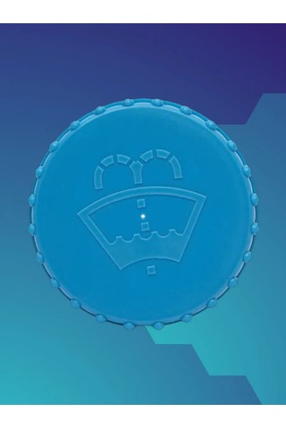 Lada Cam Suyu Haznesi Kapağı 193537525